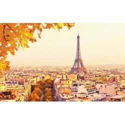 Wall murals panoramic view of Paris and the Eiffel tower leaves