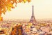 Wall murals panoramic view of Paris and the Eiffel tower leaves