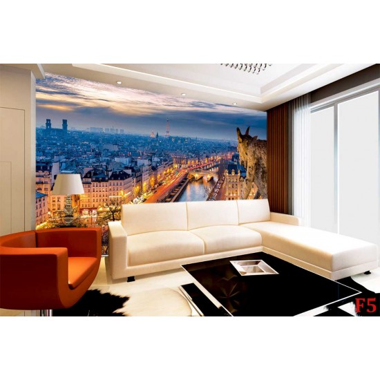 Wall murals a unique view over Paris