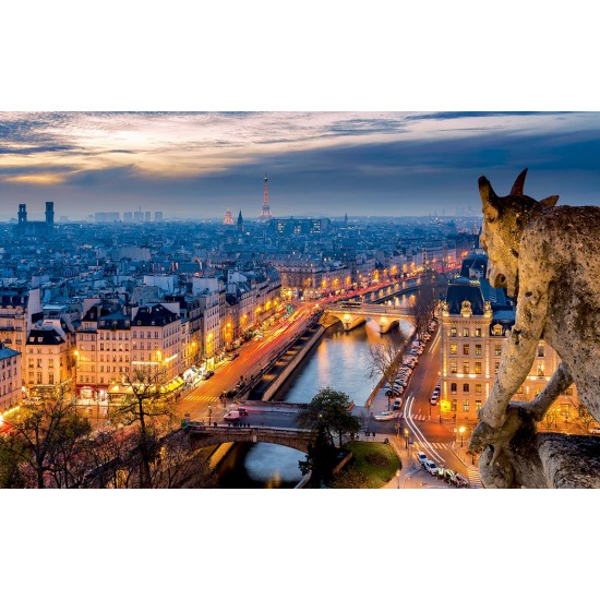 Wall murals a unique view over Paris