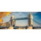 Wallpapers mural London Bridge Tower daily view