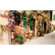 Wallpapers mural retro street with beautiful flowers 2