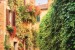 Wallpapers retro street by a wall of green leaves