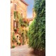 Wallpapers retro street by a wall of green leaves Wallpapers retro street by a wall of green leaves