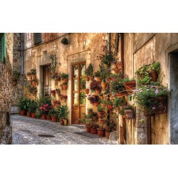Wallpapers mural beautiful retro street with facade doors