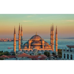 Wallpapers mural Blue mosque in Istanbul