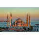 Wallpapers mural Blue mosque in Istanbul