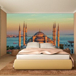 Wallpapers mural Blue mosque in Istanbul