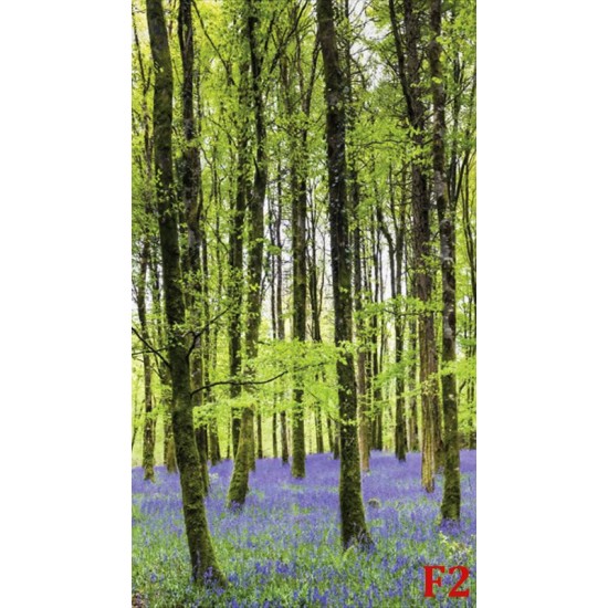 Wall mural beautiful green forest with purple flowers