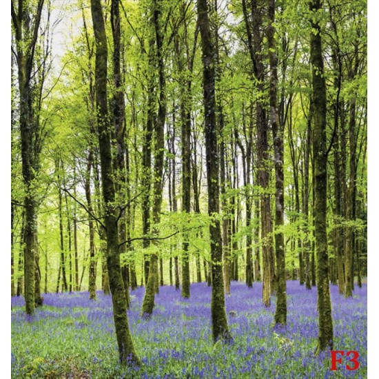 Wall mural beautiful green forest with purple flowers