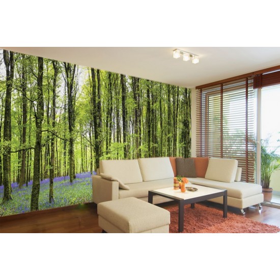 Wall mural beautiful green forest with purple flowers