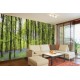 Wall mural beautiful green forest with purple flowers