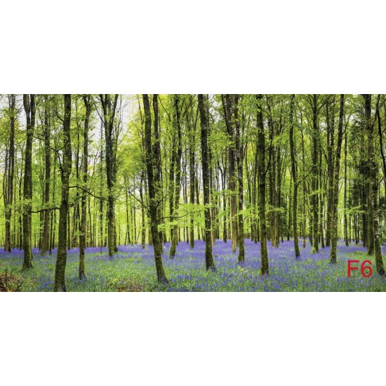 Wall mural beautiful green forest with purple flowers
