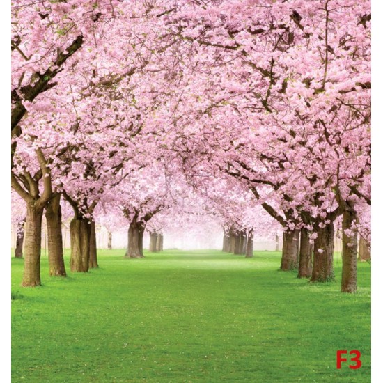 Wall mural lawn with wonderful pink trees