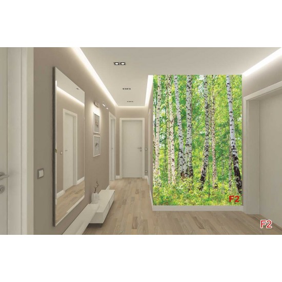 Wall mural birch forest 2 Wall mural birch forest 2