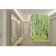 Wall mural birch forest 2 Wall mural birch forest 2