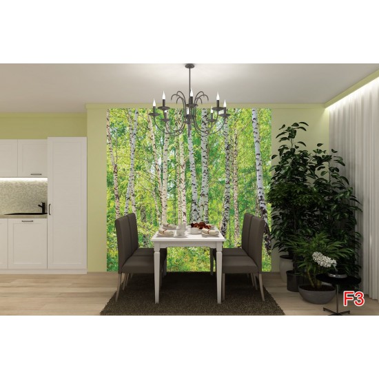 Wall mural birch forest 2 Wall mural birch forest 2