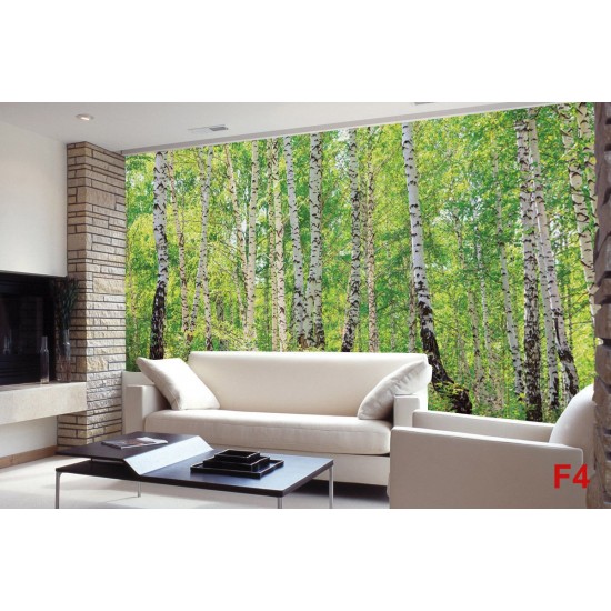 Wall mural birch forest 2 Wall mural birch forest 2