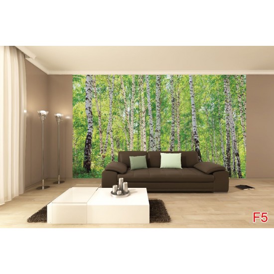 Wall mural birch forest 2 Wall mural birch forest 2