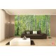 Wall mural birch forest 2 Wall mural birch forest 2