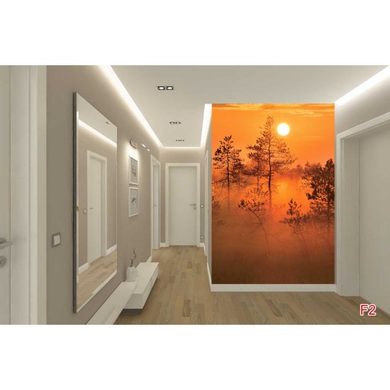 Wall mural orange forest at sunset