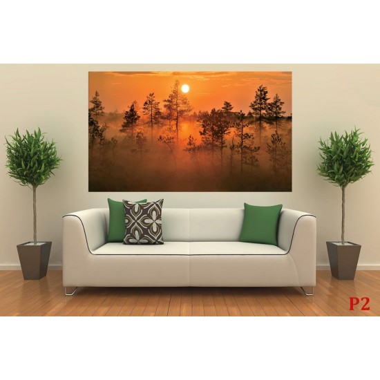Wall mural orange forest at sunset