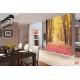 Wallpapers mural autumn forest path 2