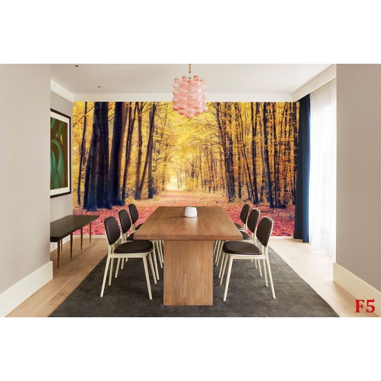Wallpapers mural autumn forest path 2