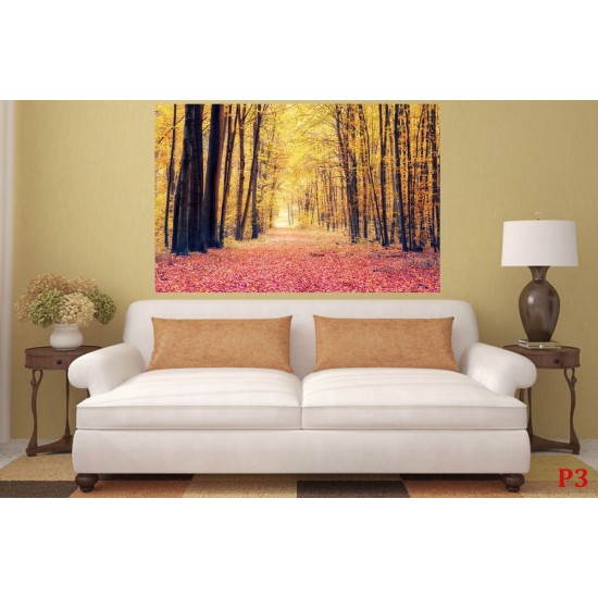 Wallpapers mural autumn forest path 2