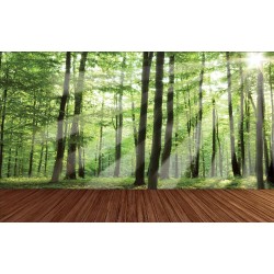 Wall murals green forest with a wooden platform
