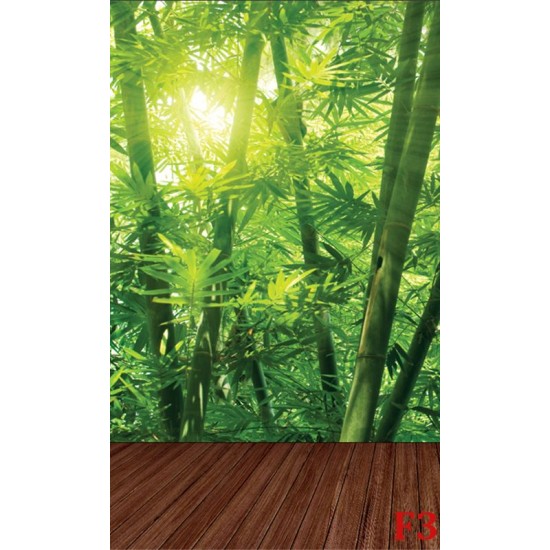 Wall murals bamboo forest with a wooden platform