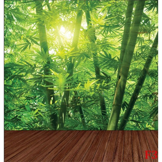 Wall murals bamboo forest with a wooden platform