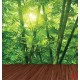 Wall murals bamboo forest with a wooden platform