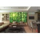 Wall murals bamboo forest with a wooden platform