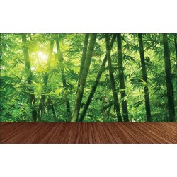 Wall murals bamboo forest with a wooden platform