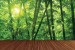 Wall murals bamboo forest with a wooden platform
