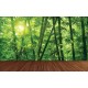 Wall murals bamboo forest with a wooden platform