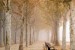 Wallpapers mural beautiful park with trees and benches