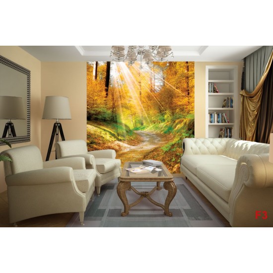 Wallpapers autumn forest with sunshine