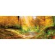Wallpapers autumn forest with sunshine