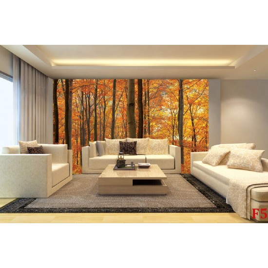 Wall murals orange forest view