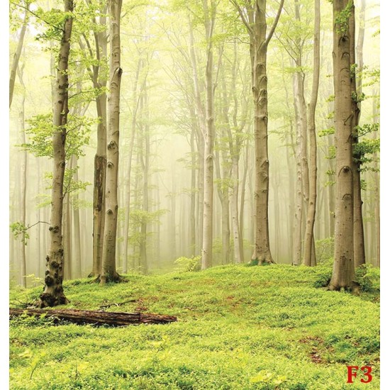 Photo mural view of forest trees in bright tones
