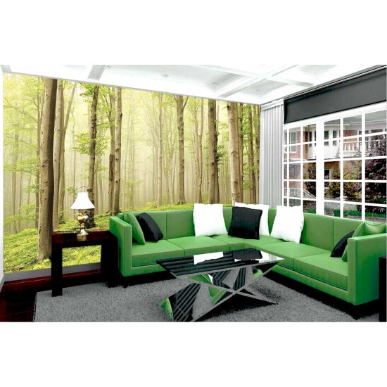 Photo mural view of forest trees in bright tones