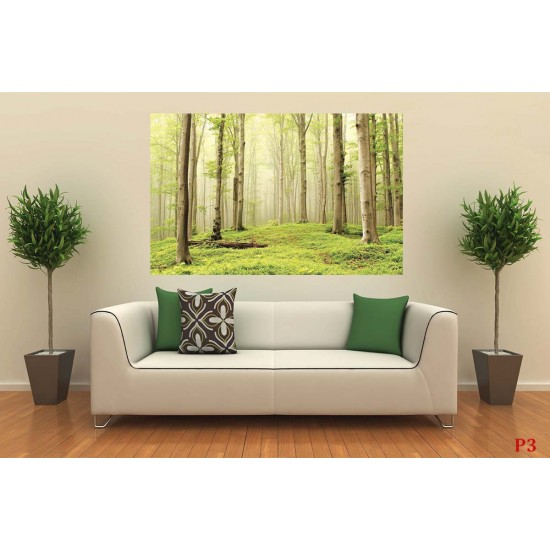 Photo mural view of forest trees in bright tones