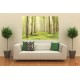 Photo mural view of forest trees in bright tones