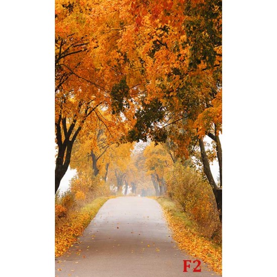 Photo mural road with autumn crowns of trees Photo mural road with autumn crowns of trees