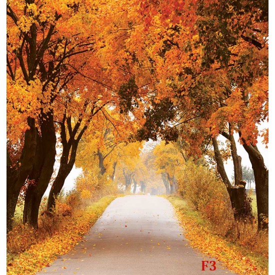 Photo mural road with autumn crowns of trees Photo mural road with autumn crowns of trees