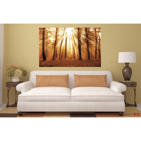 Wallpapers mural beautiful sunny forest Wallpapers mural beautiful sunny forest
