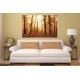 Wallpapers mural beautiful sunny forest Wallpapers mural beautiful sunny forest