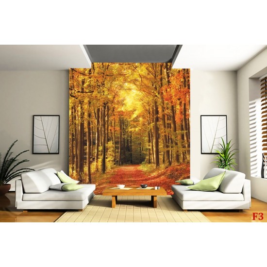Wallpapers mural autumn alley in the forest Wallpapers mural autumn alley in the forest